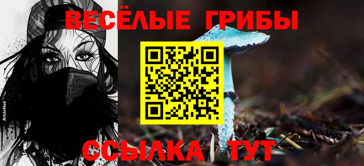 Узловая  Галлюциногенные грибы Psilocybine cubensis  Вход с VPN 