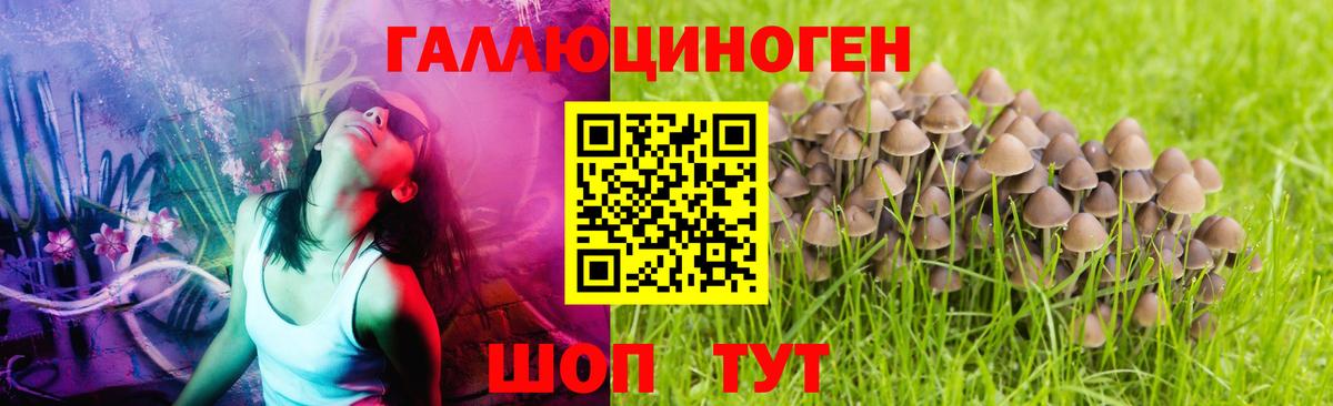 Галлюциногенные грибы GOLDEN TEACHER Узловая